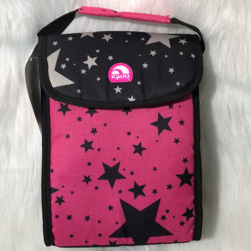 🌺  NEW! Pink Igloo Lunch Bag